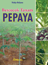 Image of Bercocok Tanam Pepaya