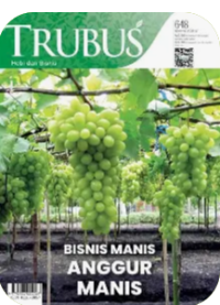 Image of Bisnis Manis Anggur Manis