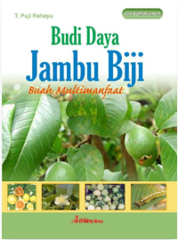 Image of Budi Daya Jambu Biji