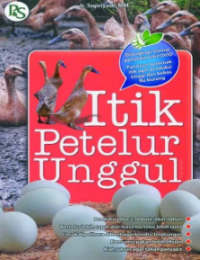 Image of Itik Petelur Unggul