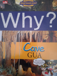 Image of WHY GUA